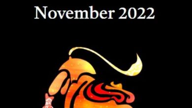 Leo november 2022 Leo horoscope november 2022 Singh rashi november 2022